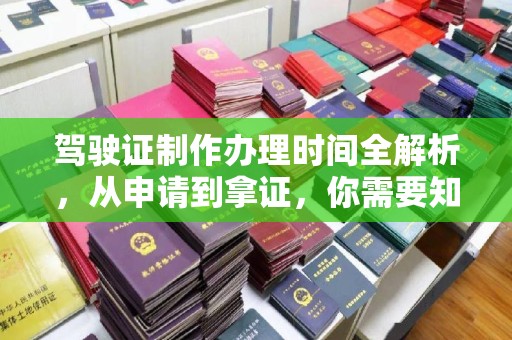 沙依巴克驾驶证制作办理时间全解析，从申请到拿证，你需要知道的一切