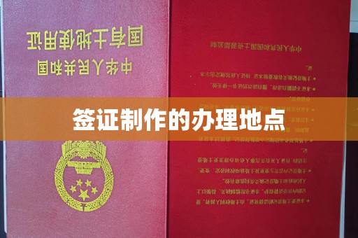 沙依巴克签证制作的办理地点
