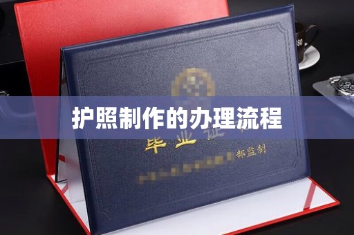 沙依巴克护照制作的办理流程