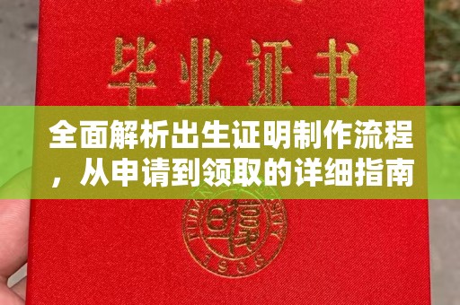 沙依巴克全面解析出生证明制作流程，从申请到领取的详细指南