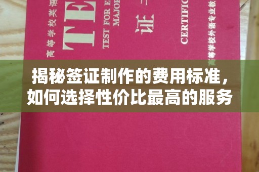 沙依巴克揭秘签证制作的费用标准，如何选择性价比最高的服务？
