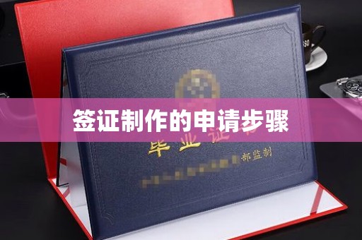 沙依巴克签证制作的申请步骤