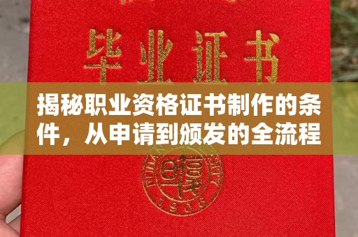 沙依巴克揭秘职业资格证书制作的条件，从申请到颁发的全流程解析