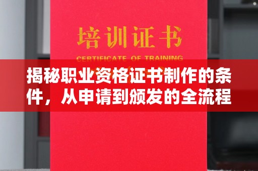 沙依巴克揭秘职业资格证书制作的条件，从申请到颁发的全流程解析