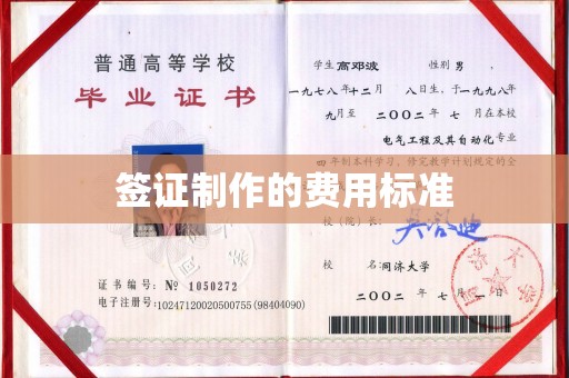 沙依巴克签证制作的费用标准