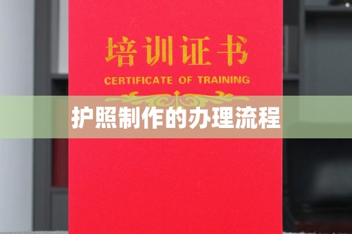 沙依巴克护照制作的办理流程