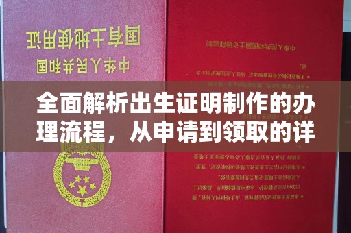 沙依巴克全面解析出生证明制作的办理流程，从申请到领取的详细指南