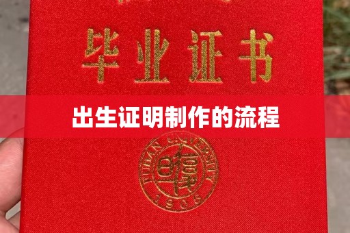 沙依巴克出生证明制作的流程
